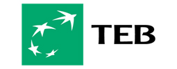 TEB